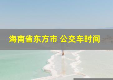 海南省东方市 公交车时间